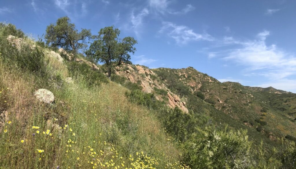 bioreserve landscape