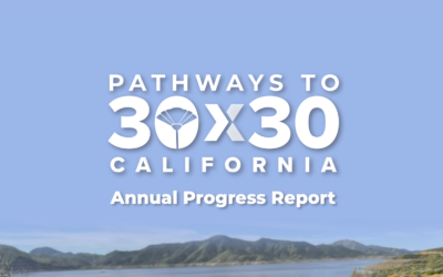 California’s 30×30 Initiative: 2023 Progress Report Highlights