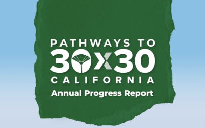 California’s 30×30 Initiative: 2024 Progress Report Highlights